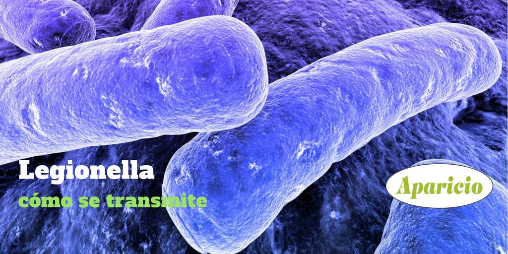 ¿Qué Es La Legionella Y Cómo Se Transmite?