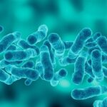 Nuevos Requisitos Prevencion Legionella