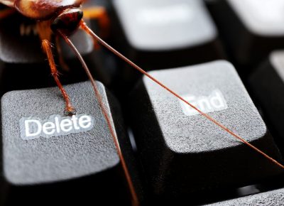 Calendario De Plagas En Oficinas Por Estaciones Del Año