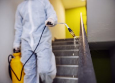 Guía Práctica Para El Antes Y Después De Una Fumigación