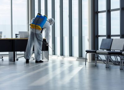 El Efecto Vacaciones En Las Oficinas: Plan De Prevención De Plagas Para El Verano