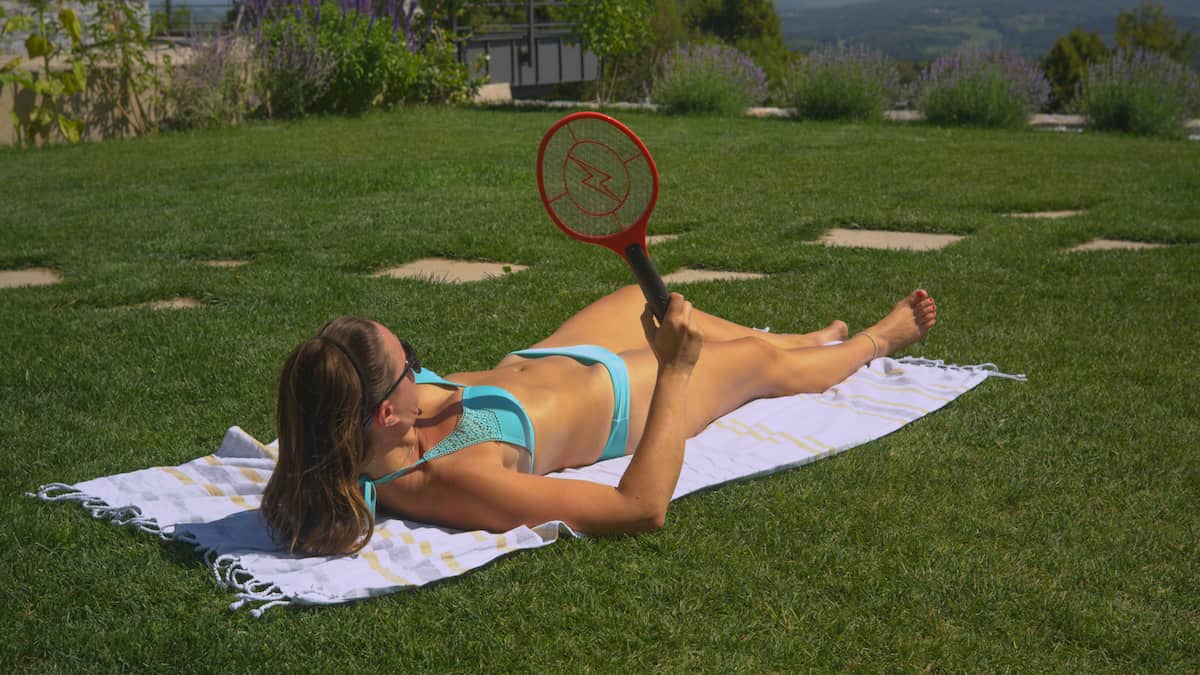 ¿Por Qué Las Plagas Se Activan Más En Verano?